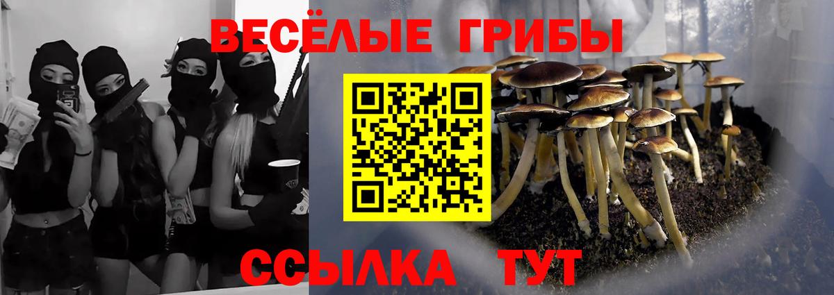 Галлюциногенные грибы Magic Shrooms Кстово